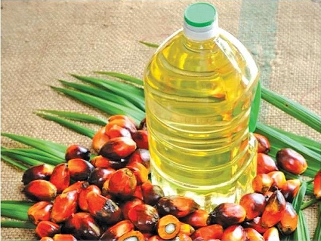 palm_oil_mission_launched_in_india